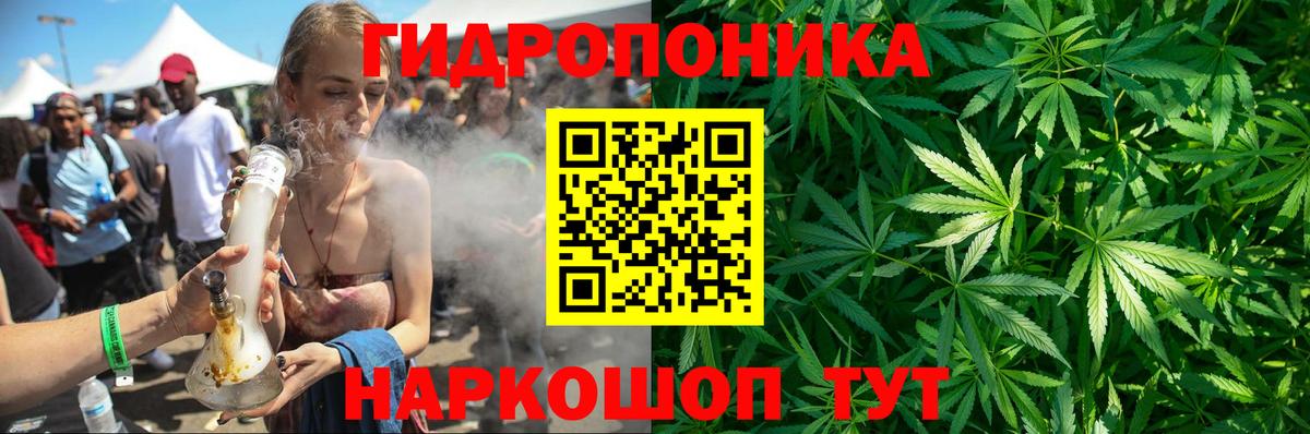 Бошки марихуана тримм  МАРИХУАНА гибрид  Вичуга  Вход с VPN  Канабис VHQ  Конопля Bruce Banner 